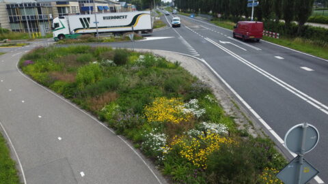 Innovatie Green-as-a-service