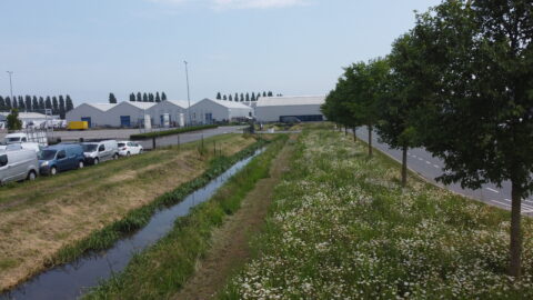 Innovatie Green-as-a-service