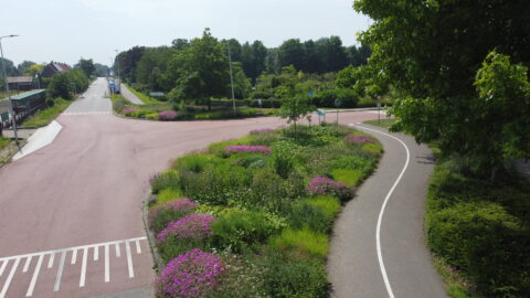 Innovatie Green-as-a-service