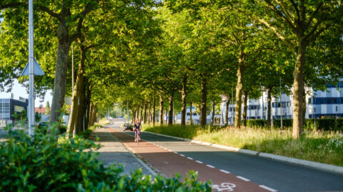 Groene fietspad onder bomen met moderne gebouwen op achtergrond.