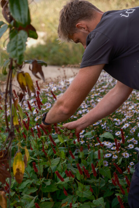 Innovatie: Groene leeromgeving voor de vakmensen van morgen