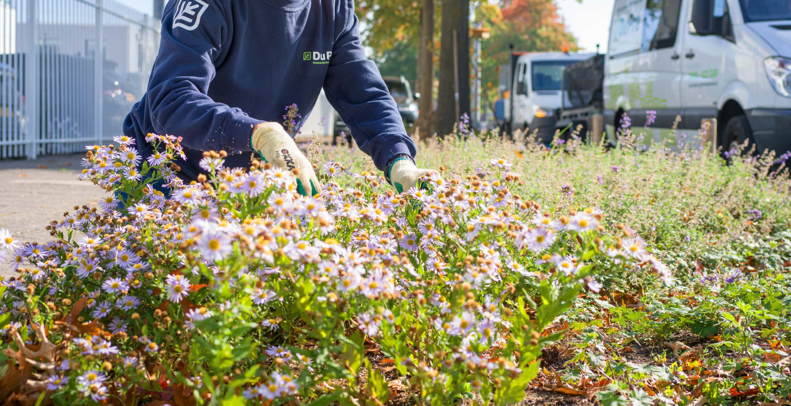zij instromer Ard - headerfoto