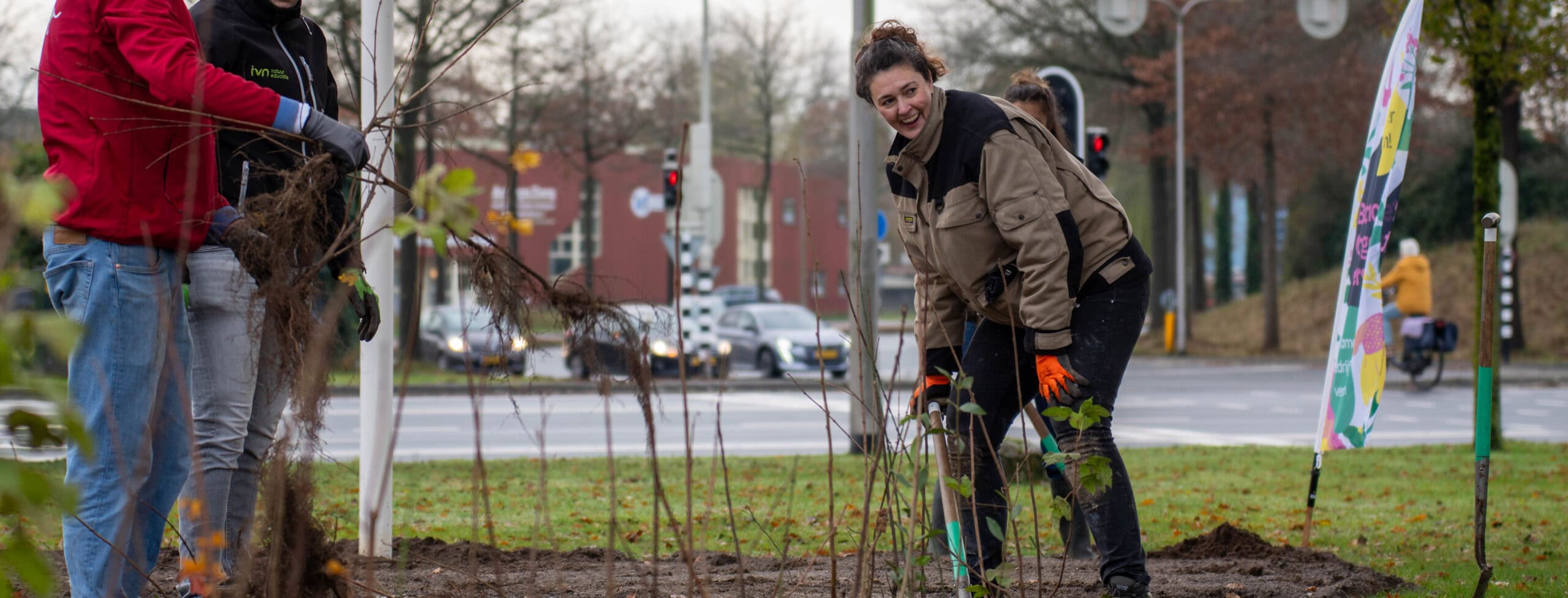 Groenaanplanting op bedrijventerrein met heg voor vergroening en duurzame ontwikkeling.