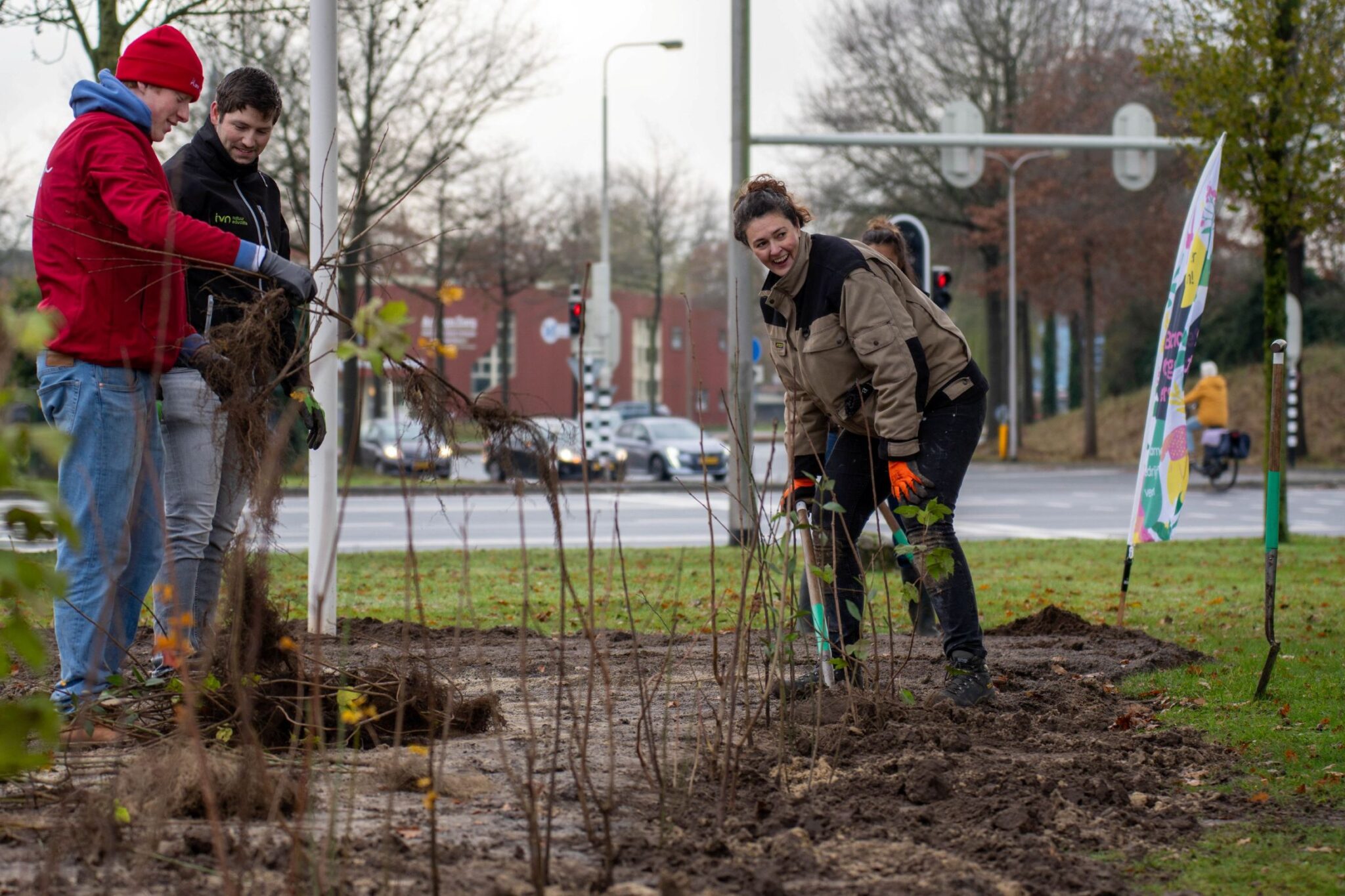 Nieuwe heg aanplant op bedrijventerrein voor vergroening en duurzame ontwikkeling.