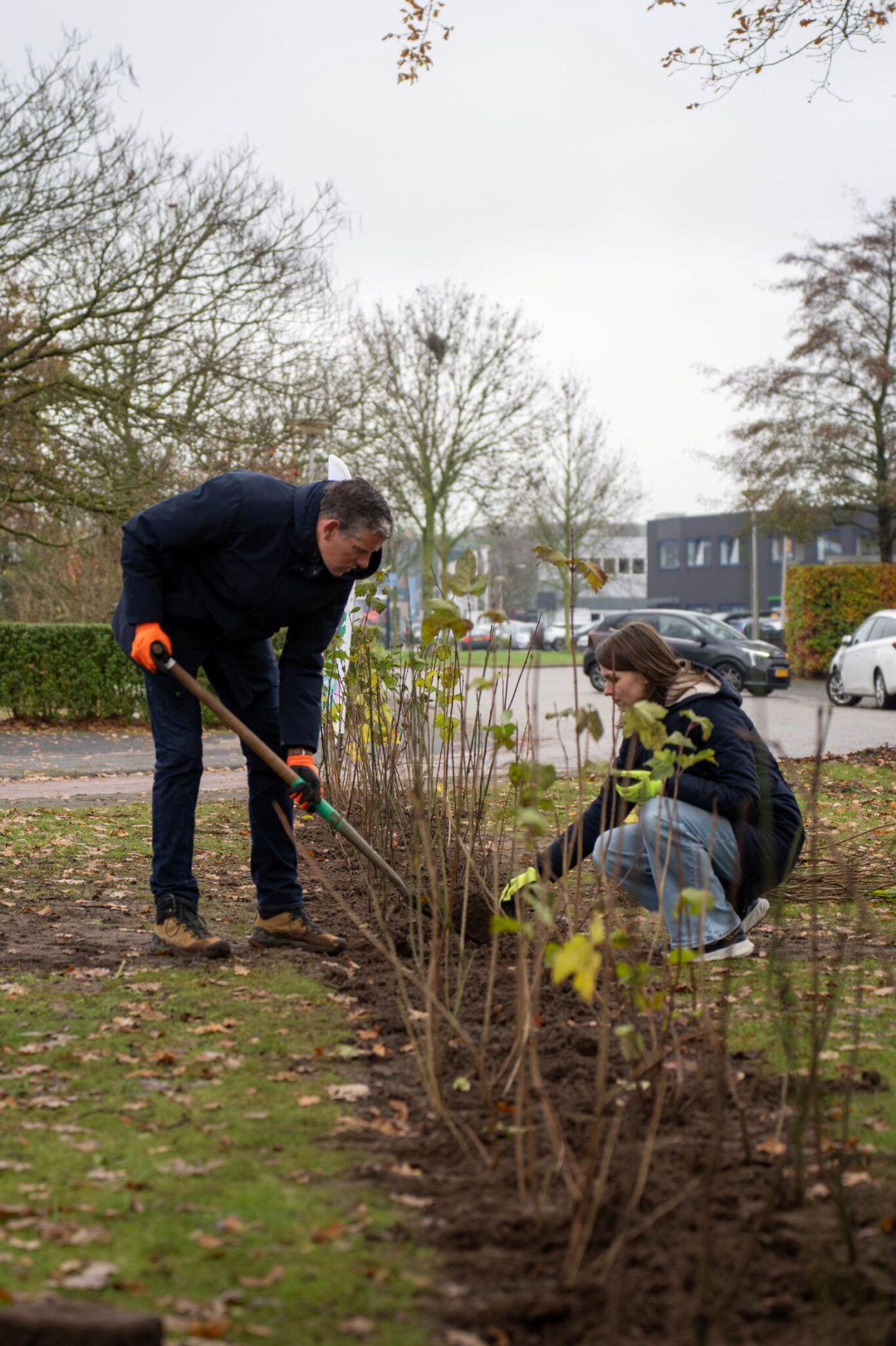 Bedrijfsmedewerkers planten heg voor vergroening van bedrijventerrein.
