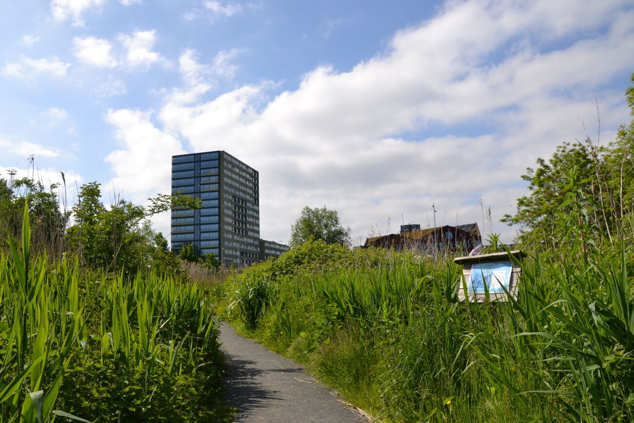 Groene stadsomgeving met hoogbouw en wandelpad in de natuur.
