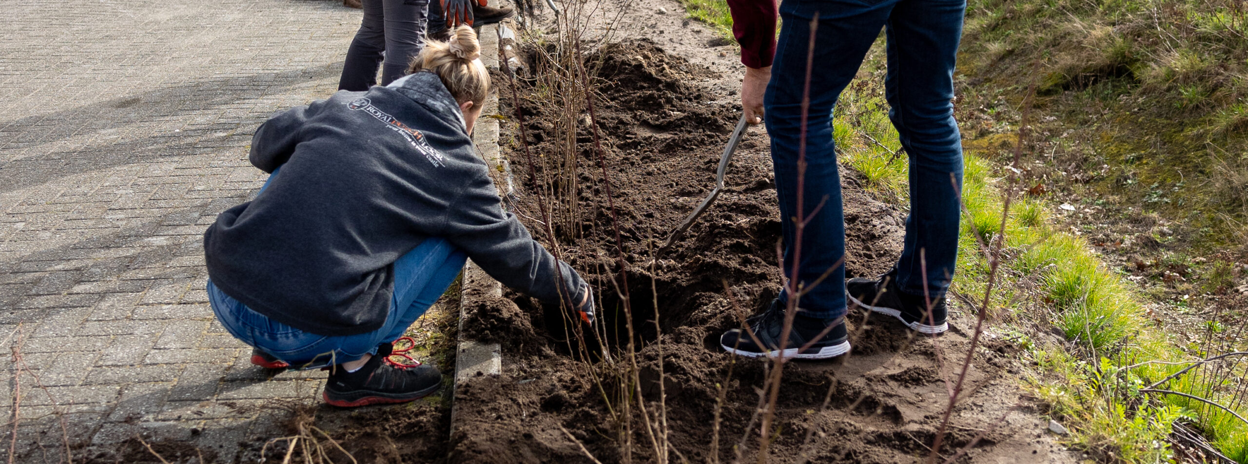 Mensen die aan het planten zijn met hun handen in de aarde