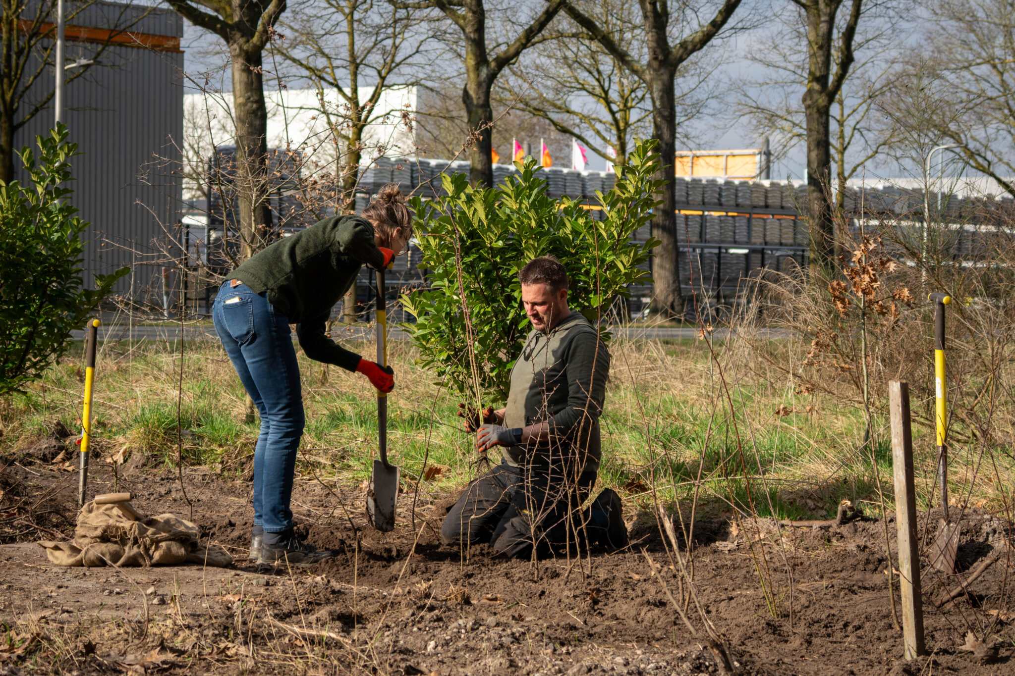 Hoveniers aan het werk