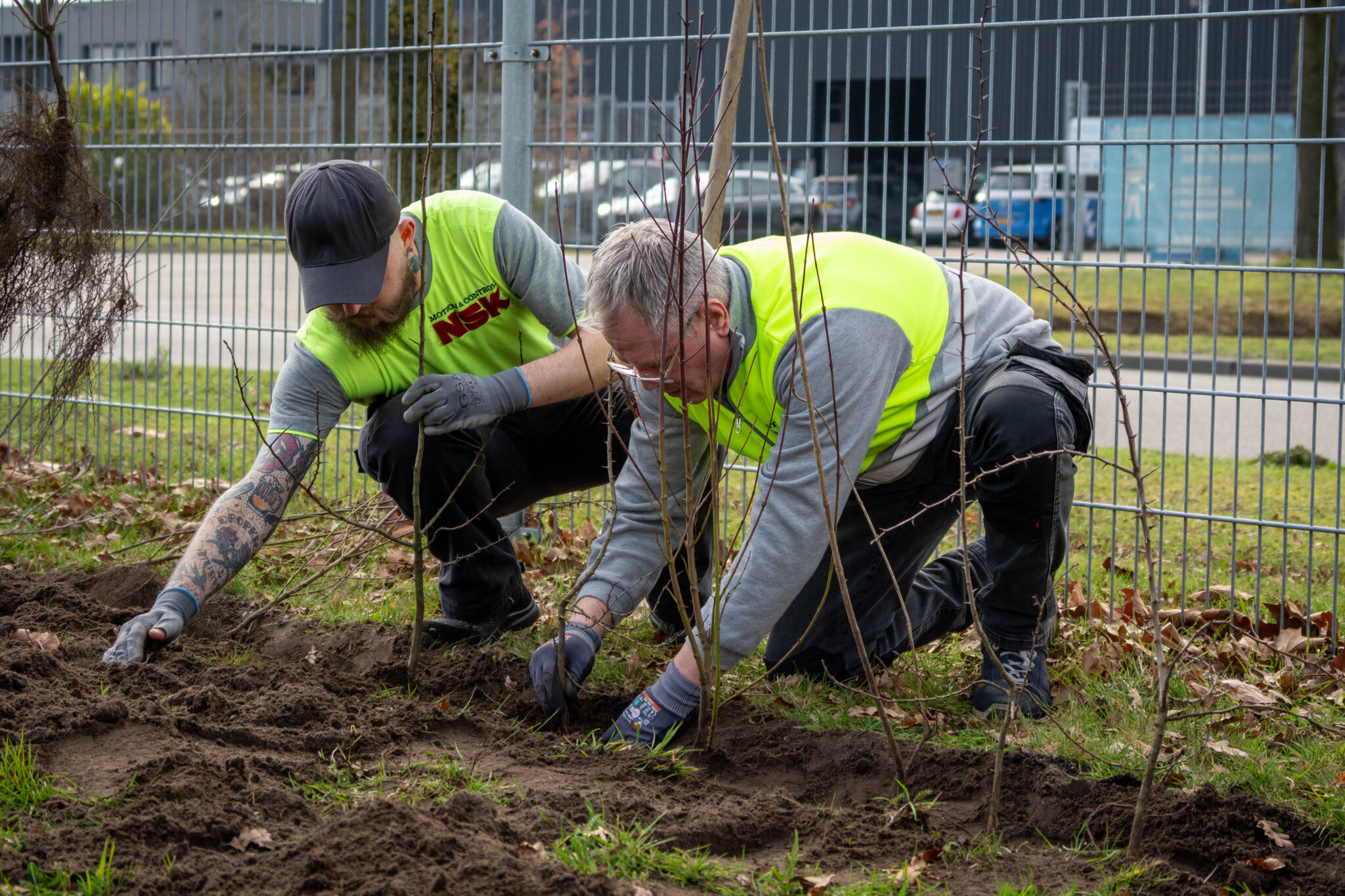 Twee mannen in gele hesjes planten heggen